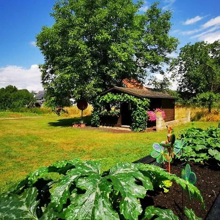 Erlwein Apartamento *